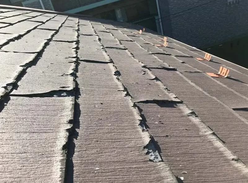 ニチハ パミール